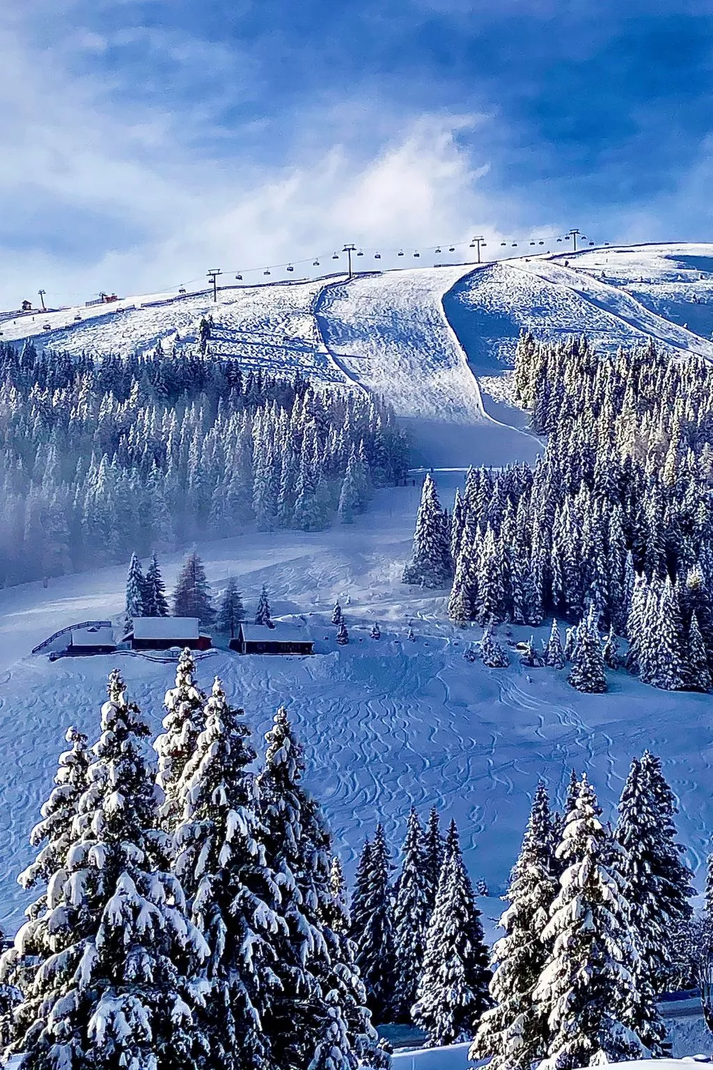 Jagdhütte - Image-tags.info