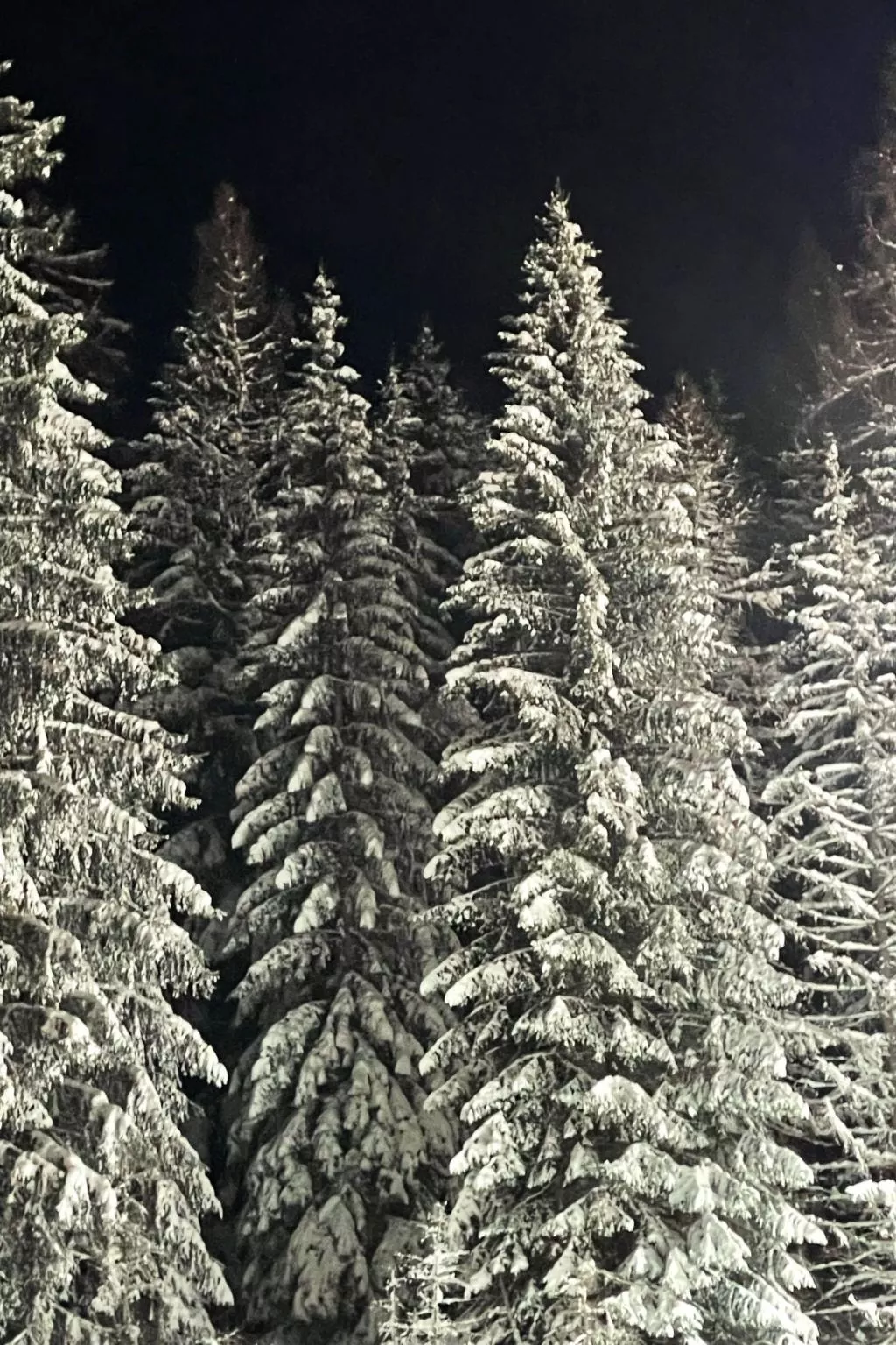 Renovierte Wohnung in Schwalefeld mit Garten, Terrasse und Grill - Image-tags.info