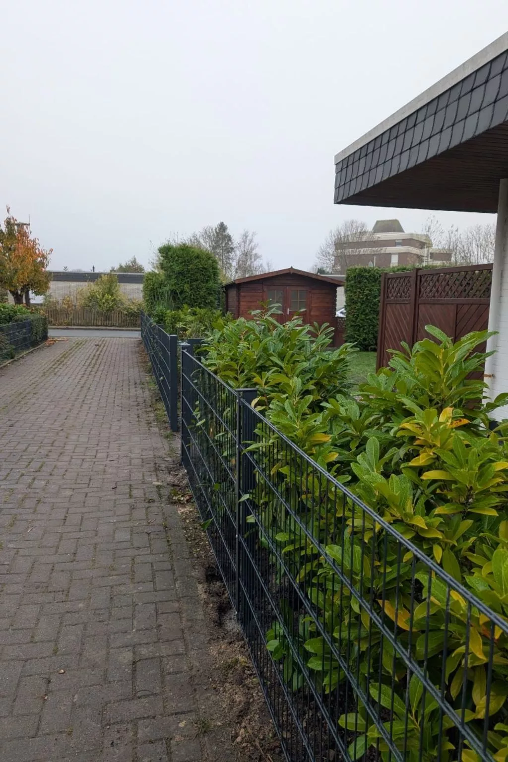 LouJa - Image-tags.info