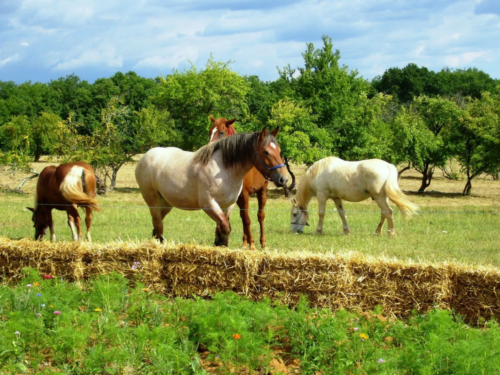 Domäne mit Jacuzzi - Image-tags.info