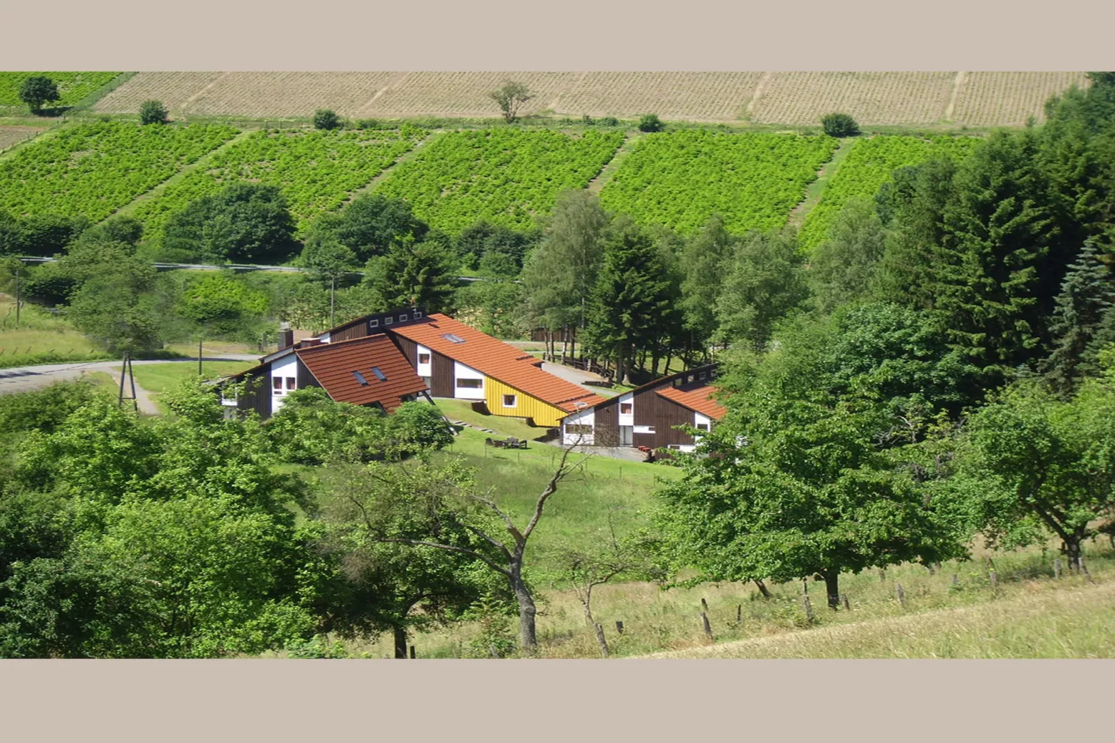 Murmeltier - Gebieden zomer 1km
