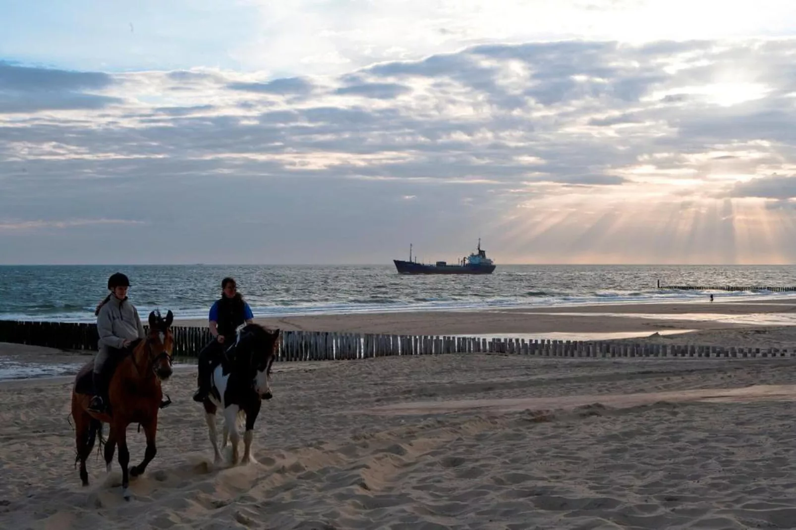 Slaapstrandhuisje - Strand dishoek 68  Dishoek-Gebieden zomer 20km