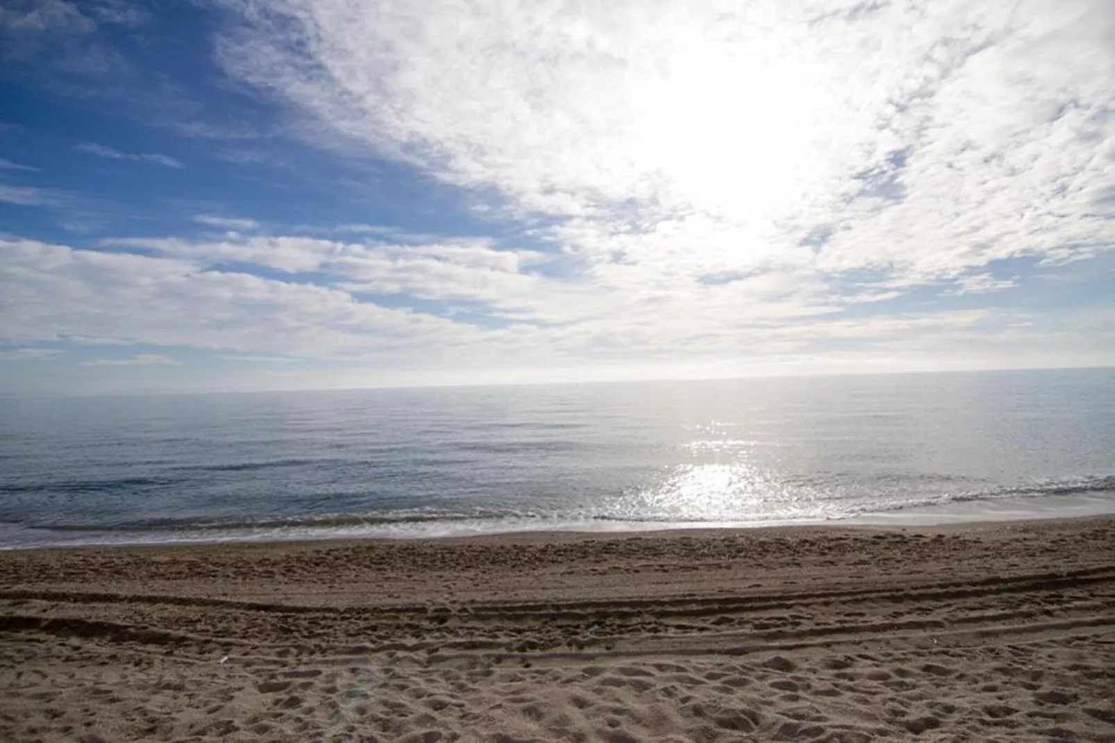 Moguima 2d-Gebieden zomer 1km