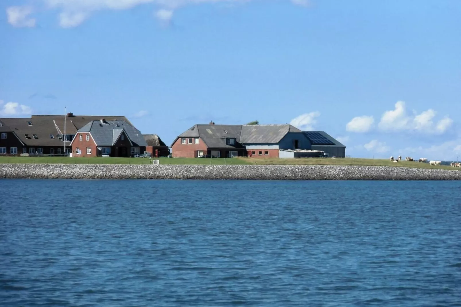 94443 - Image-tags.water view