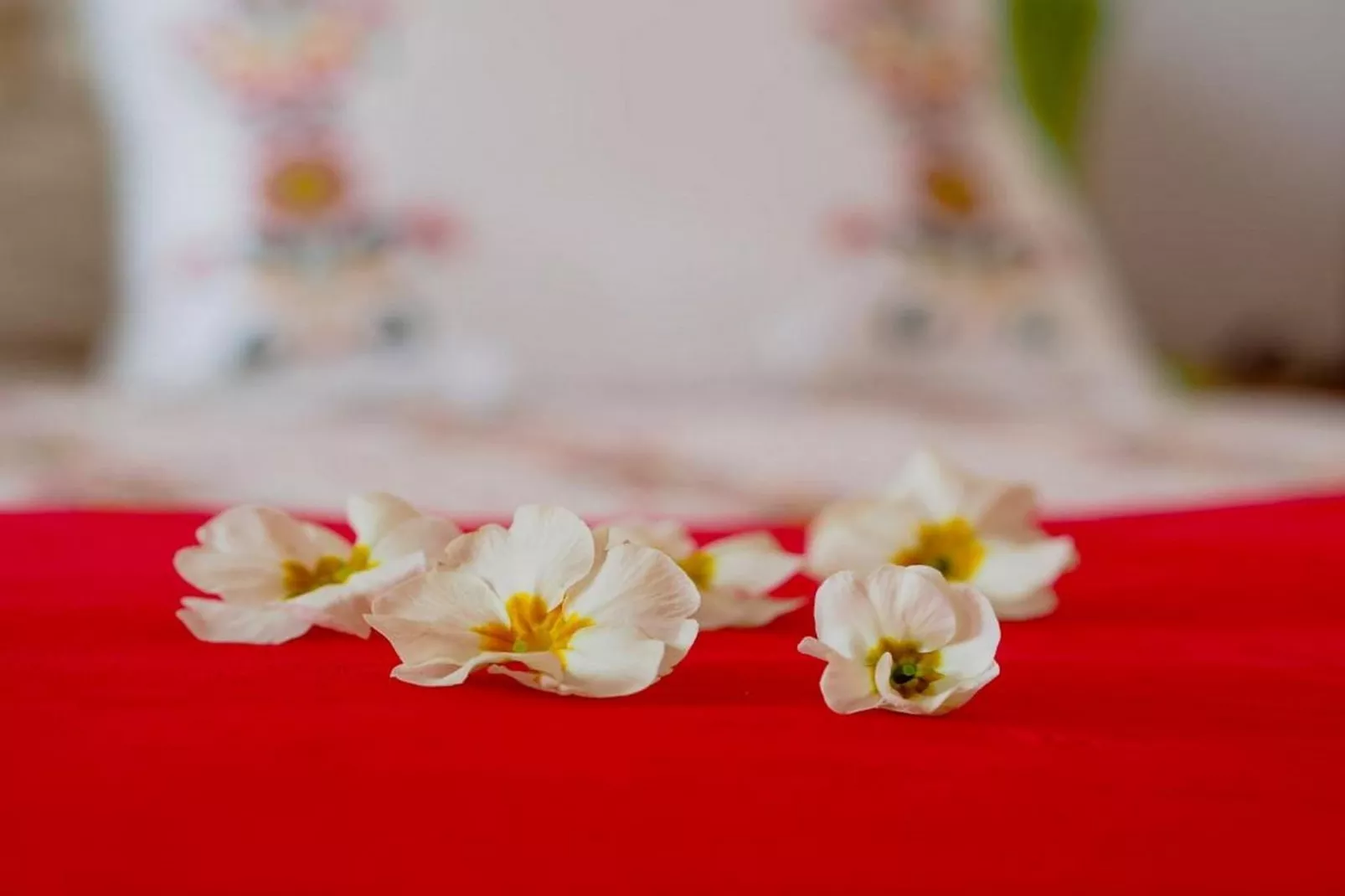 Villa Antonija - Four-Bedroom Villa with Terrace and Private Pool - Binnen