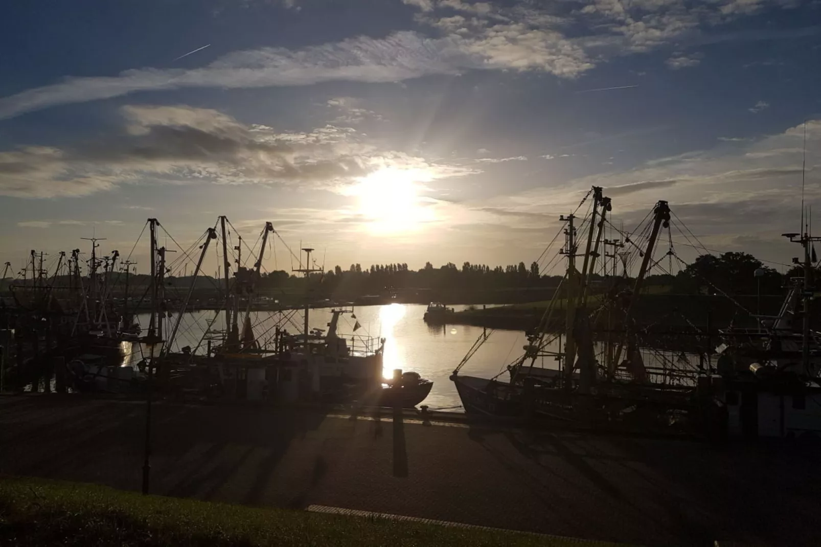 49791-Gebieden zomer 5km