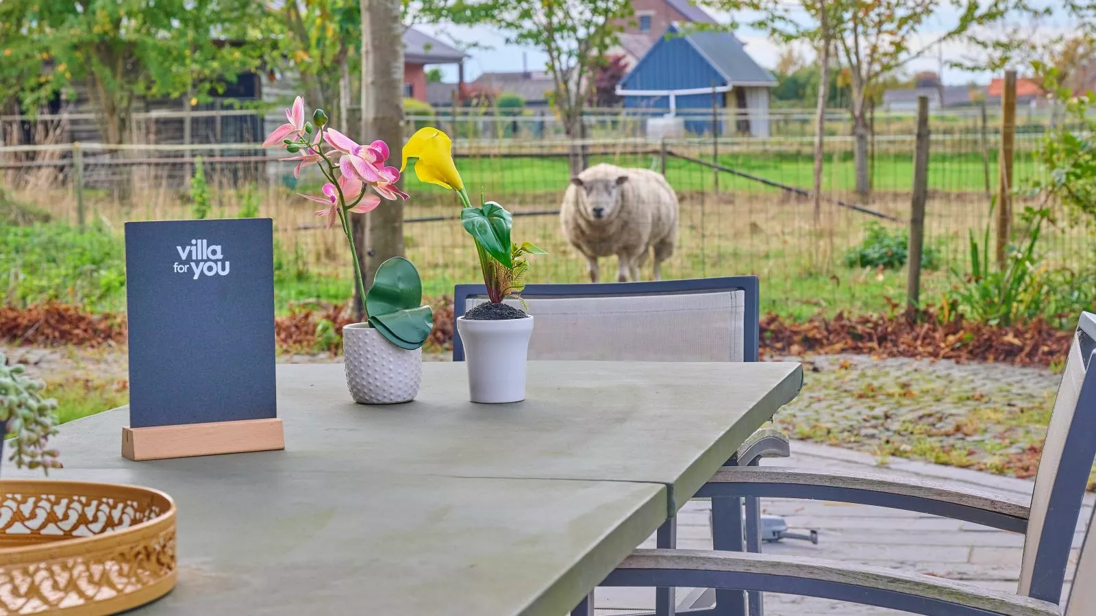 Quanto A  B - Terrasbalkon