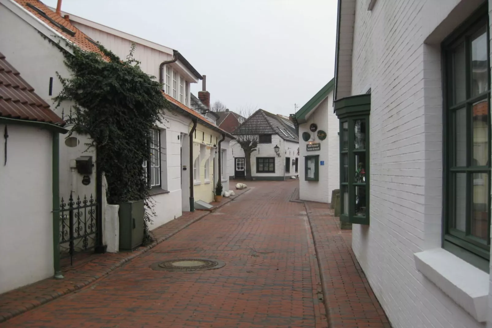 47500-Gebieden zomer 1km