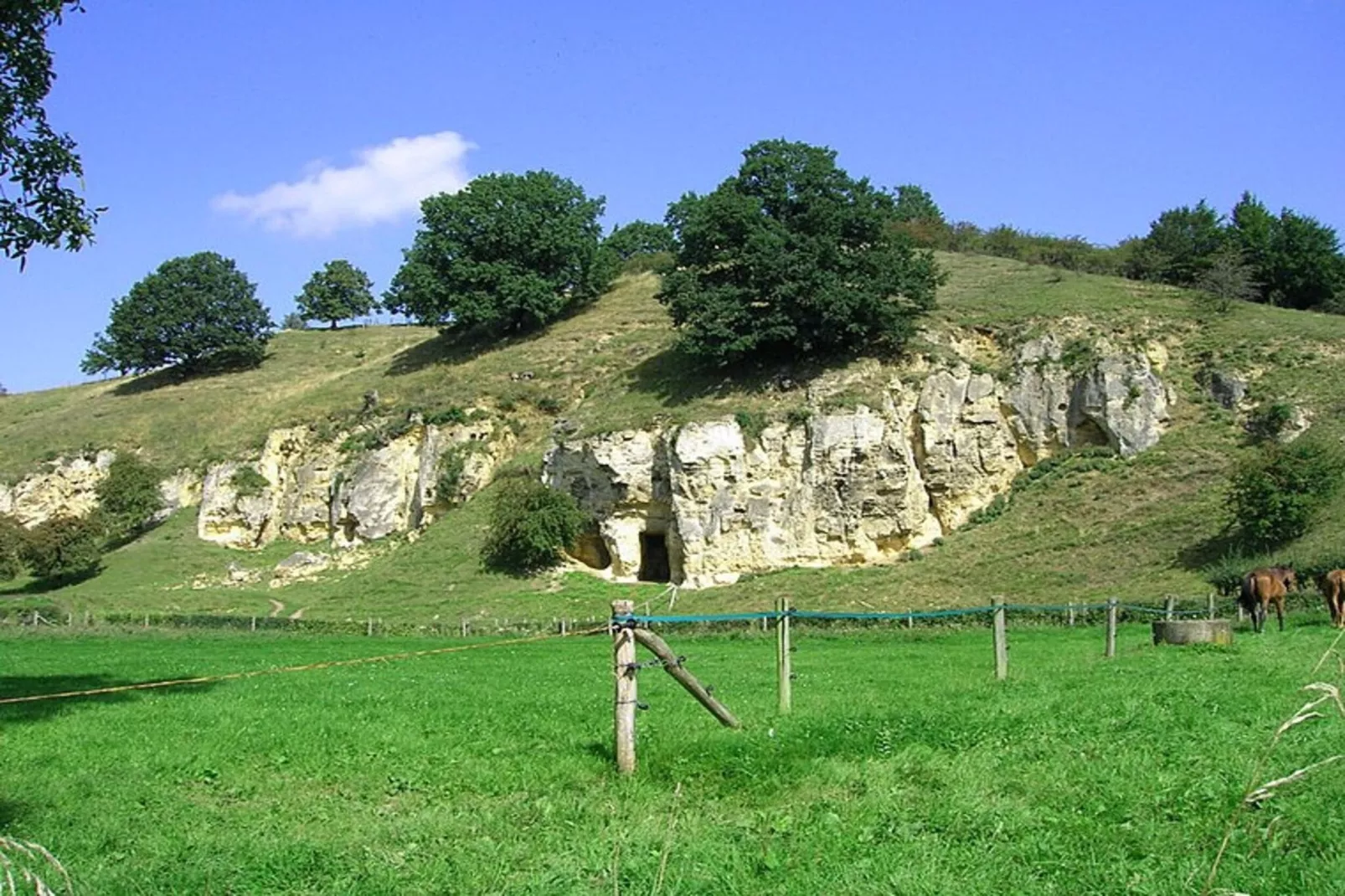 Schaelsbergerbosch - Fireplace & Sauna-Gebieden zomer 20km