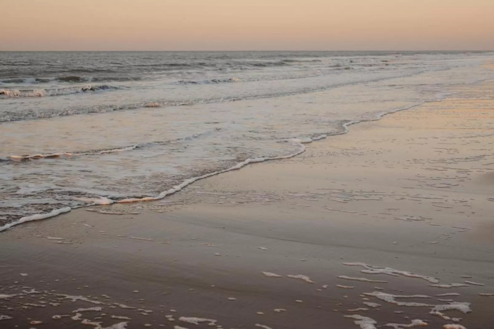 Residentie BEVERLY HOUSE-72-Gebieden zomer 1km