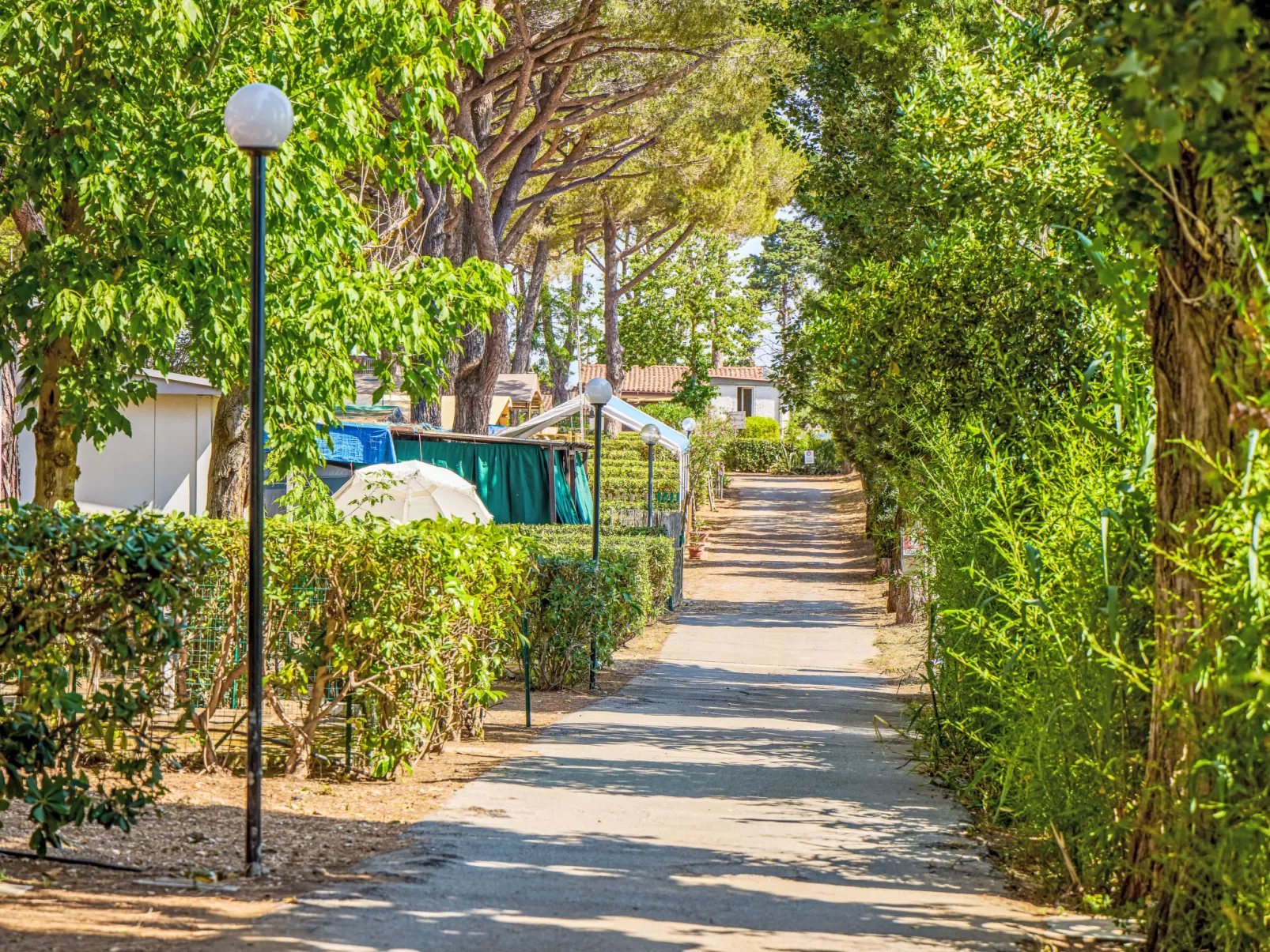 Costa D'Argento-Buiten