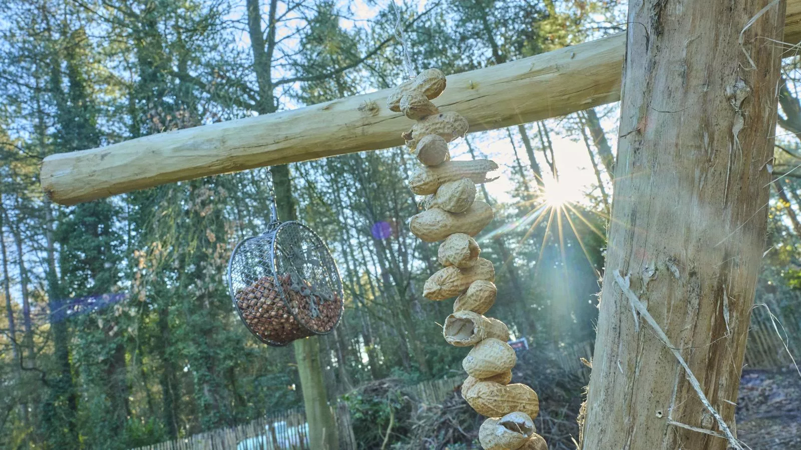 Lierelodge - Tuinen zomer