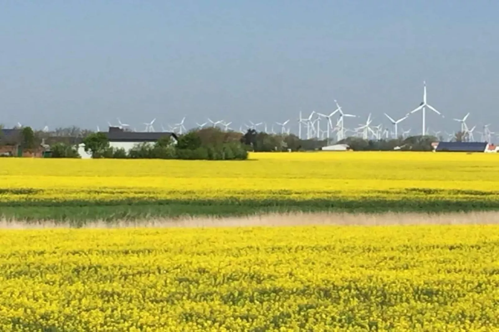 4315-Image-tags.water view