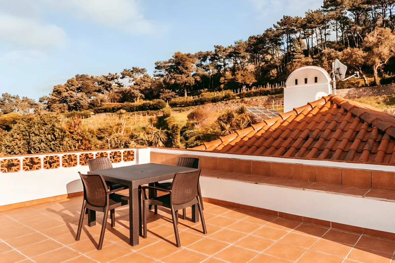 Oliveira's Houses By Gthouse-Terras