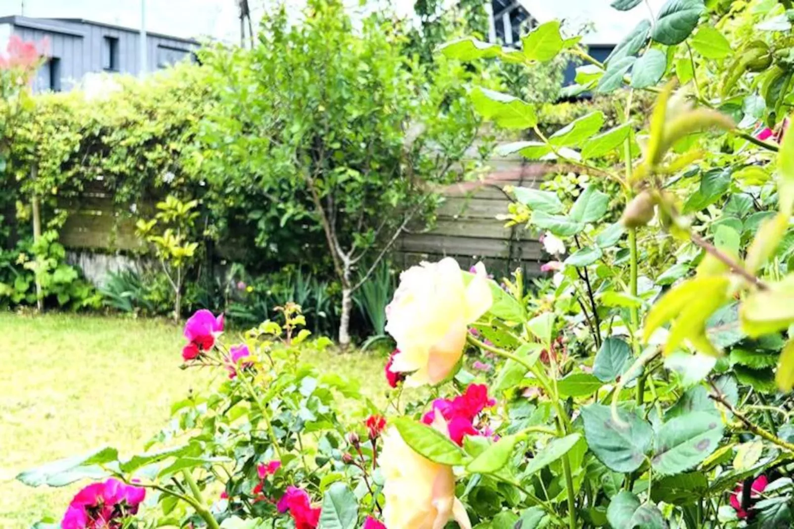 Résidence Ysatis-larmor Plage - Niet-getagd