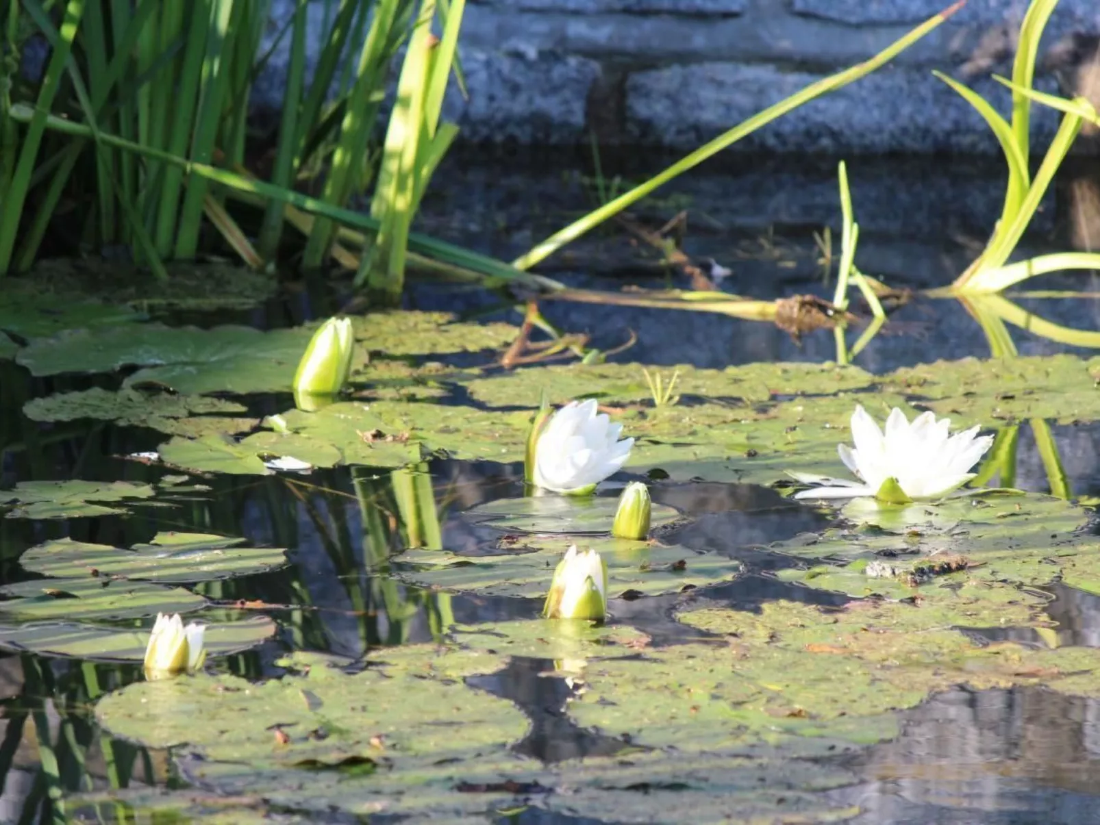 Jägerhaus - Image-tags.info