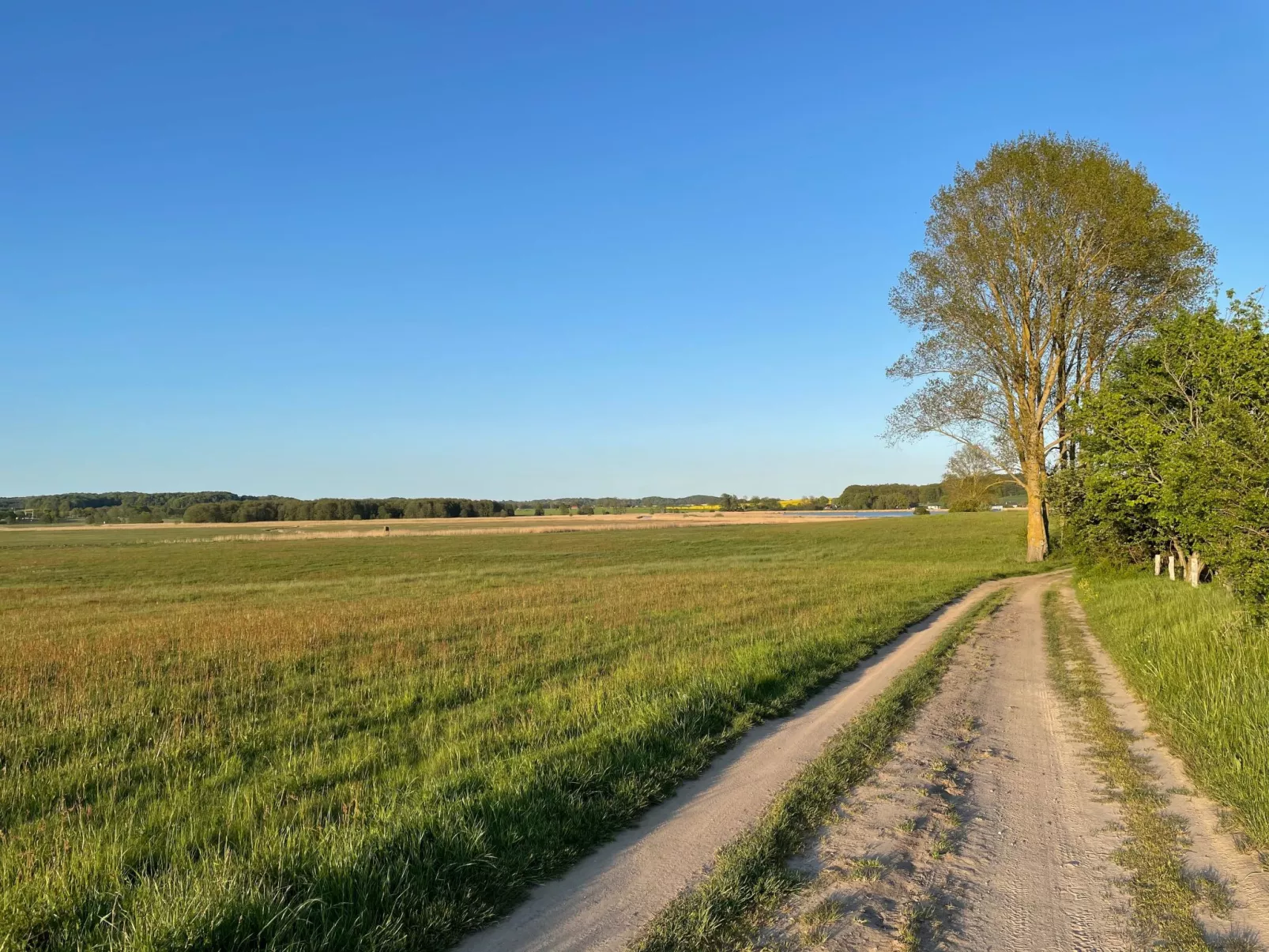 Mit Balkon - Image-tags.info