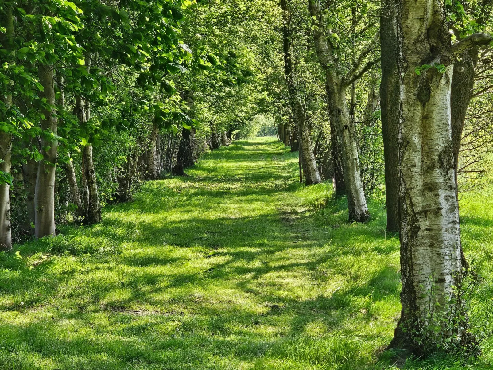 Luxuszeit zu Zweit - Image-tags.info