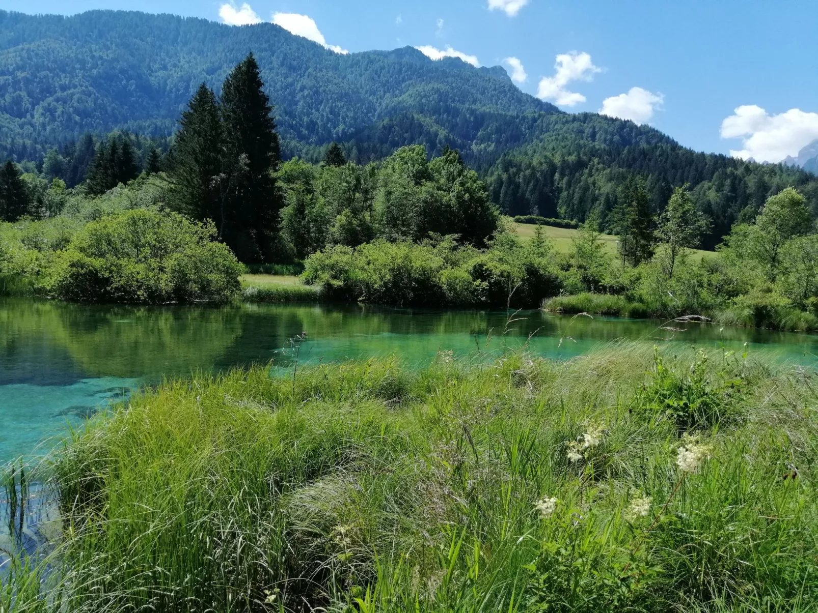 Mit eigenem Garten und Terrasse - Image-tags.info