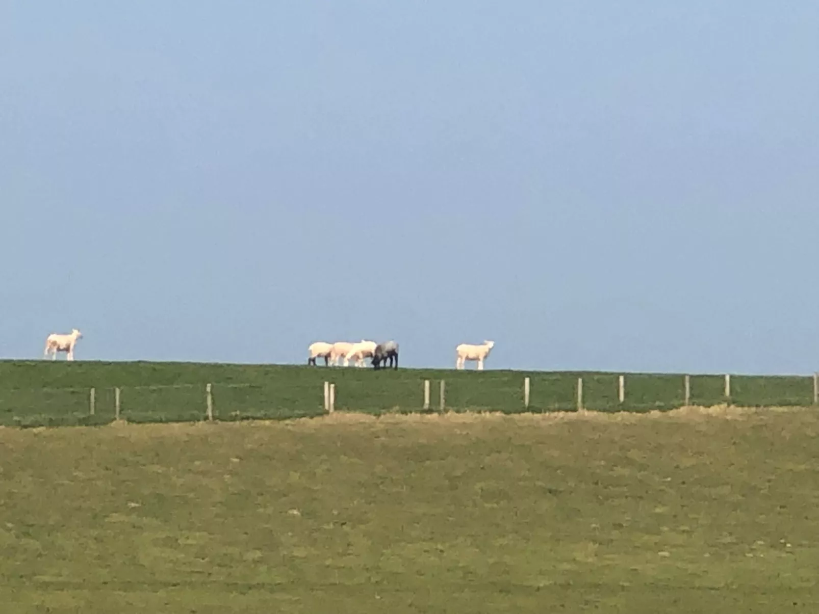 Haus Deichkieker - Image-tags.info