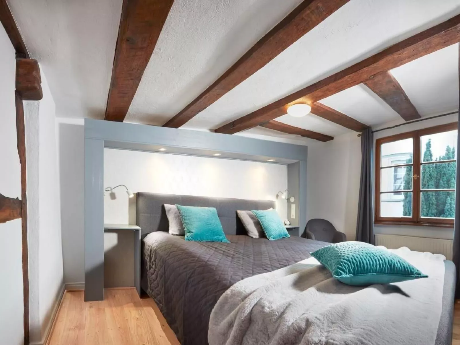 Olive Tree - Image-tags.info