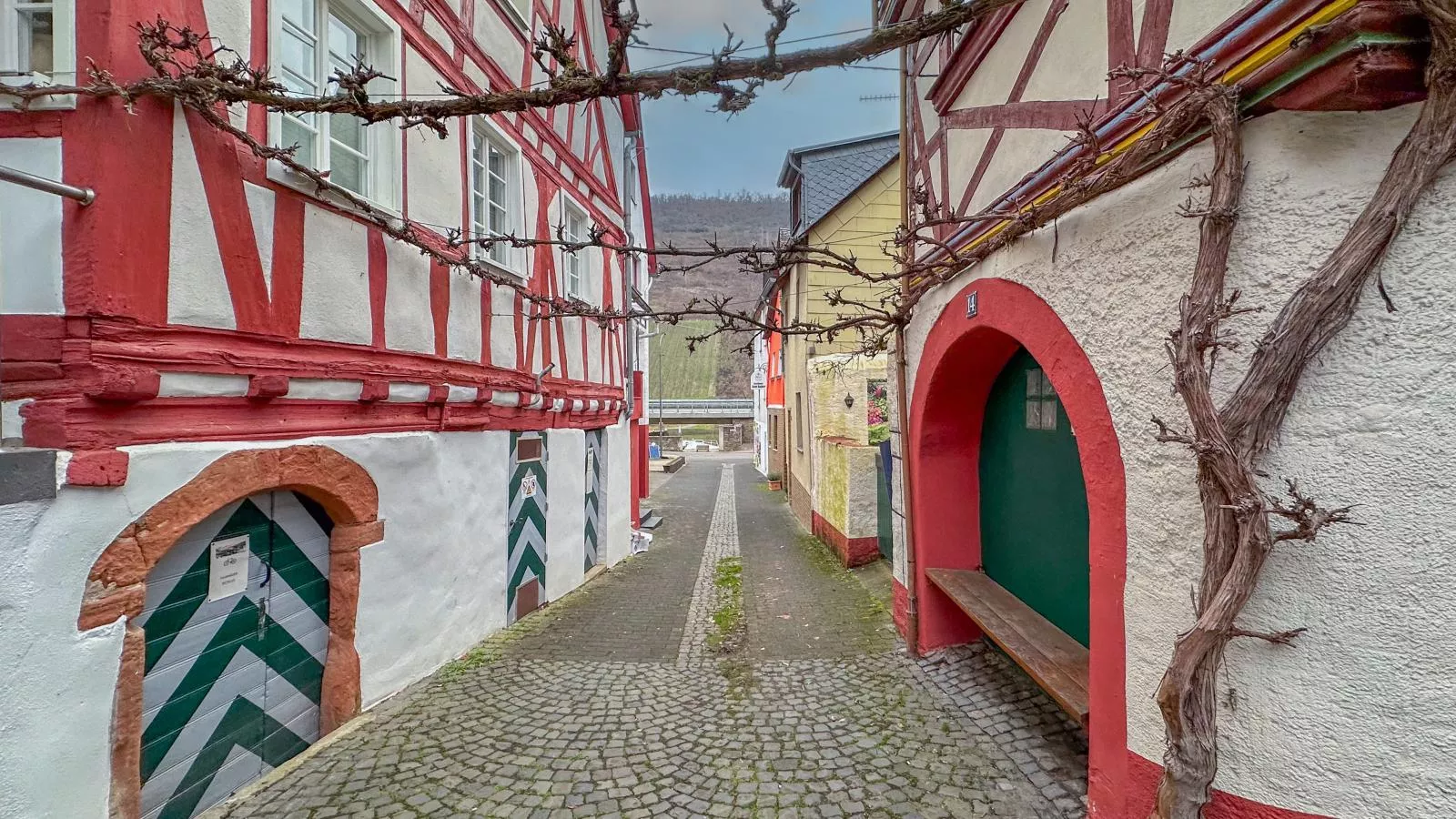 Briedel - Gebieden zomer 1km