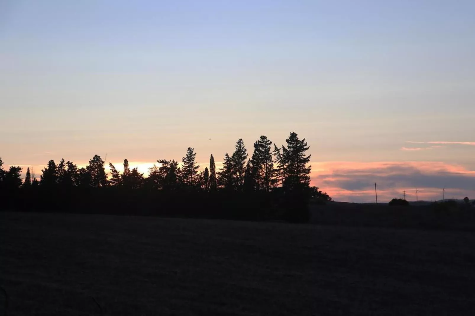 Quinta Velha - Gebieden zomer 20km