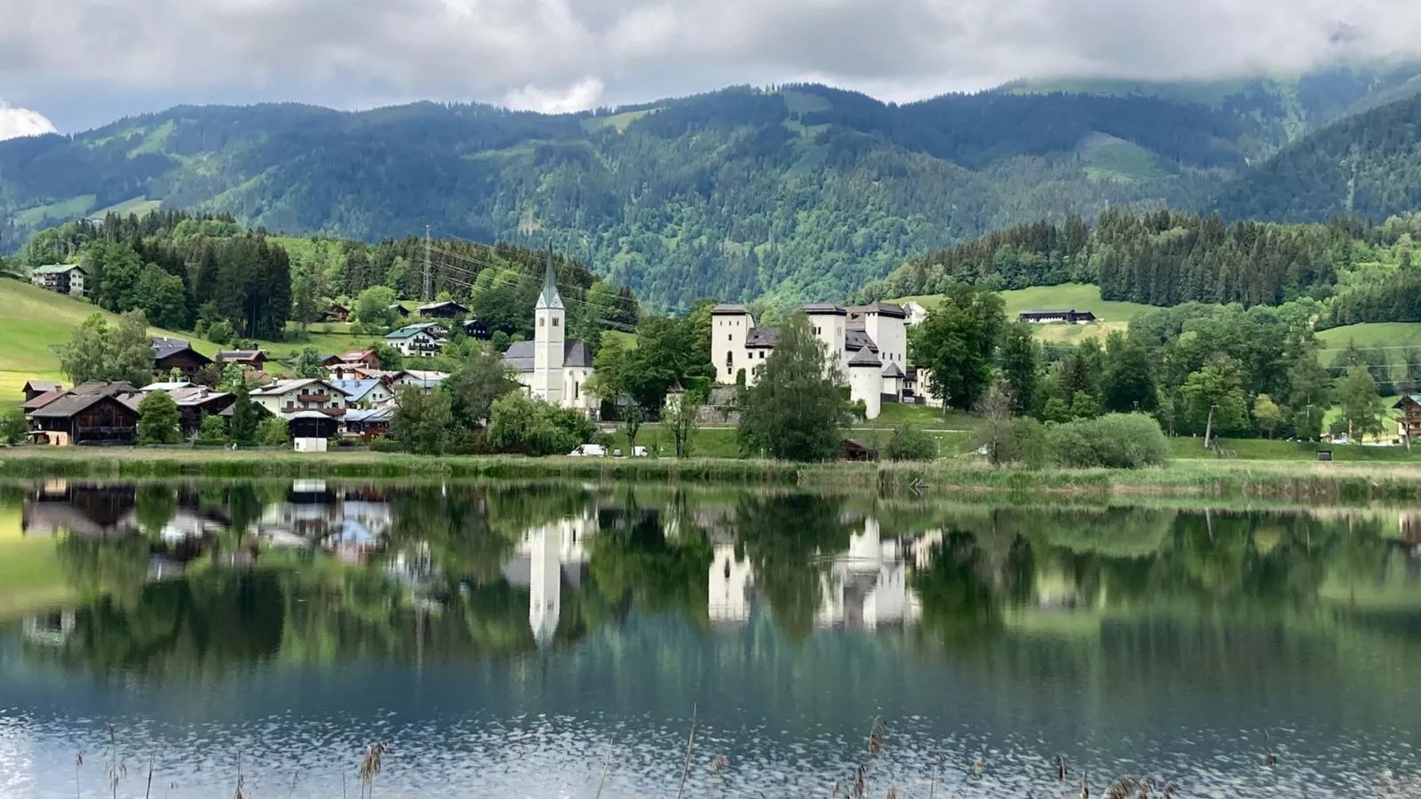 Barney M - Gebieden zomer 5km