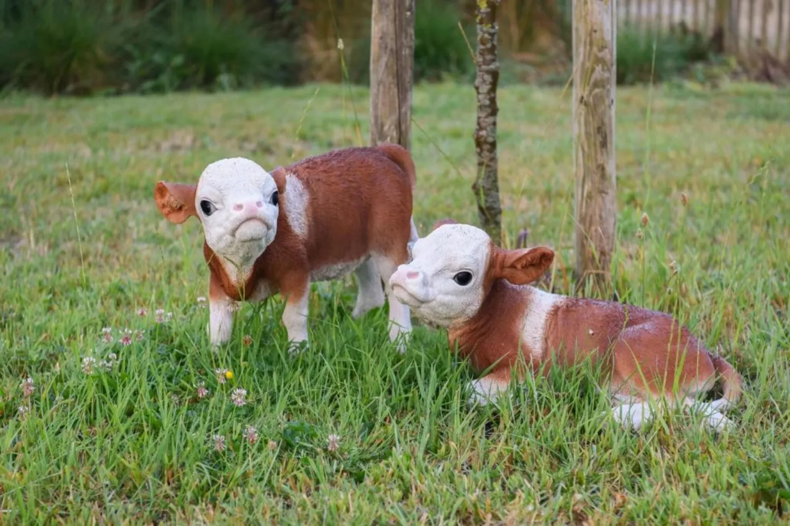 CASINO C-Gebieden zomer 20km