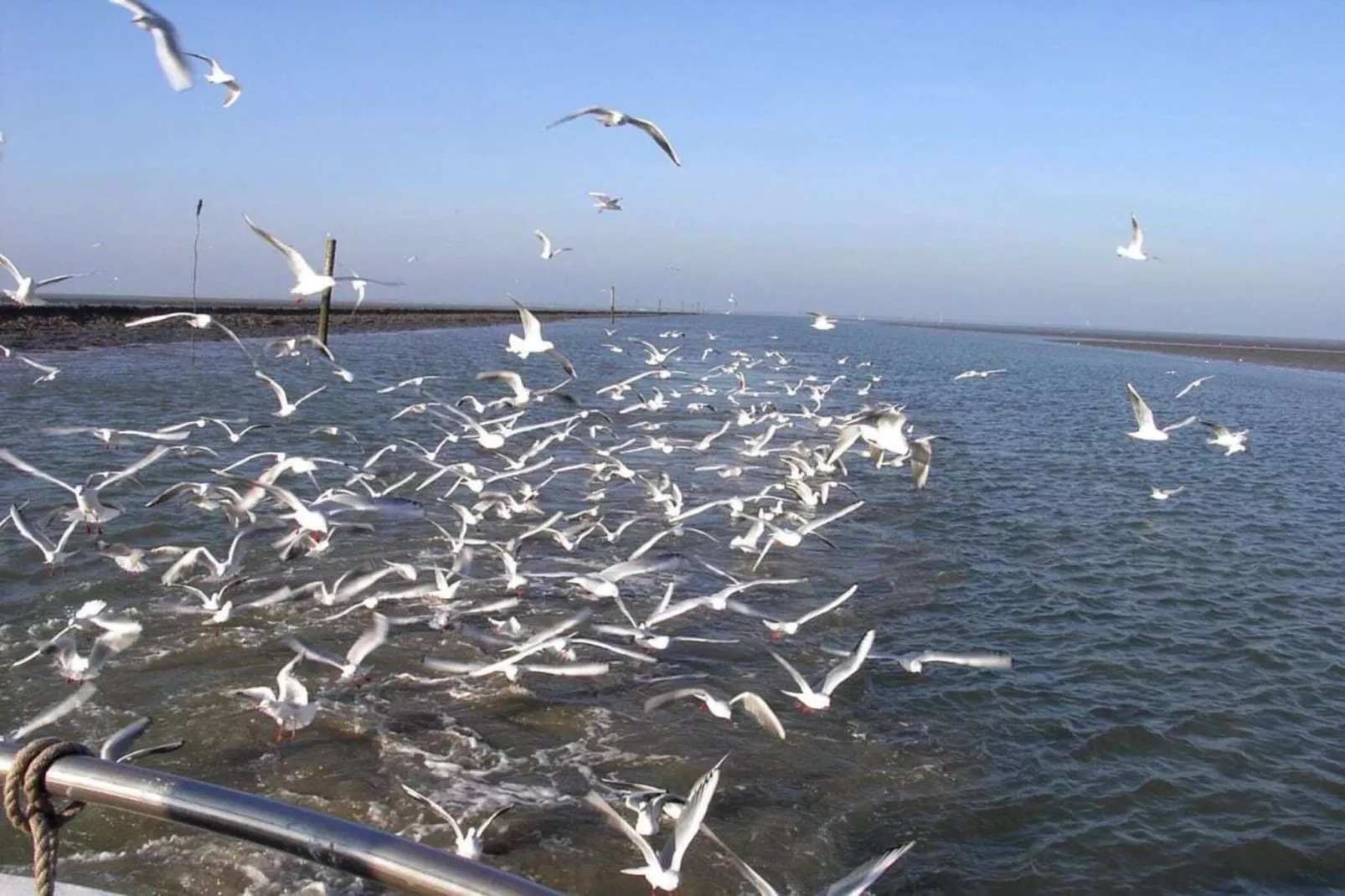 49791-Gebieden zomer 5km