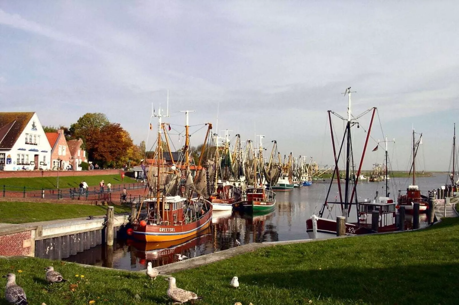 47500-Gebieden zomer 5km