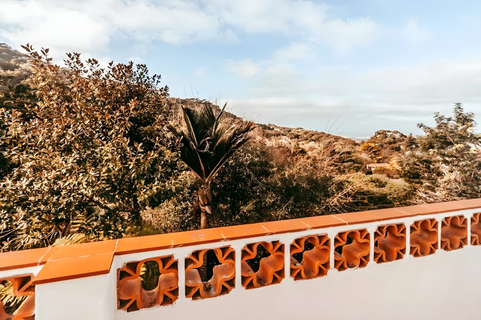 Oliveira's Houses By Gthouse-Terras