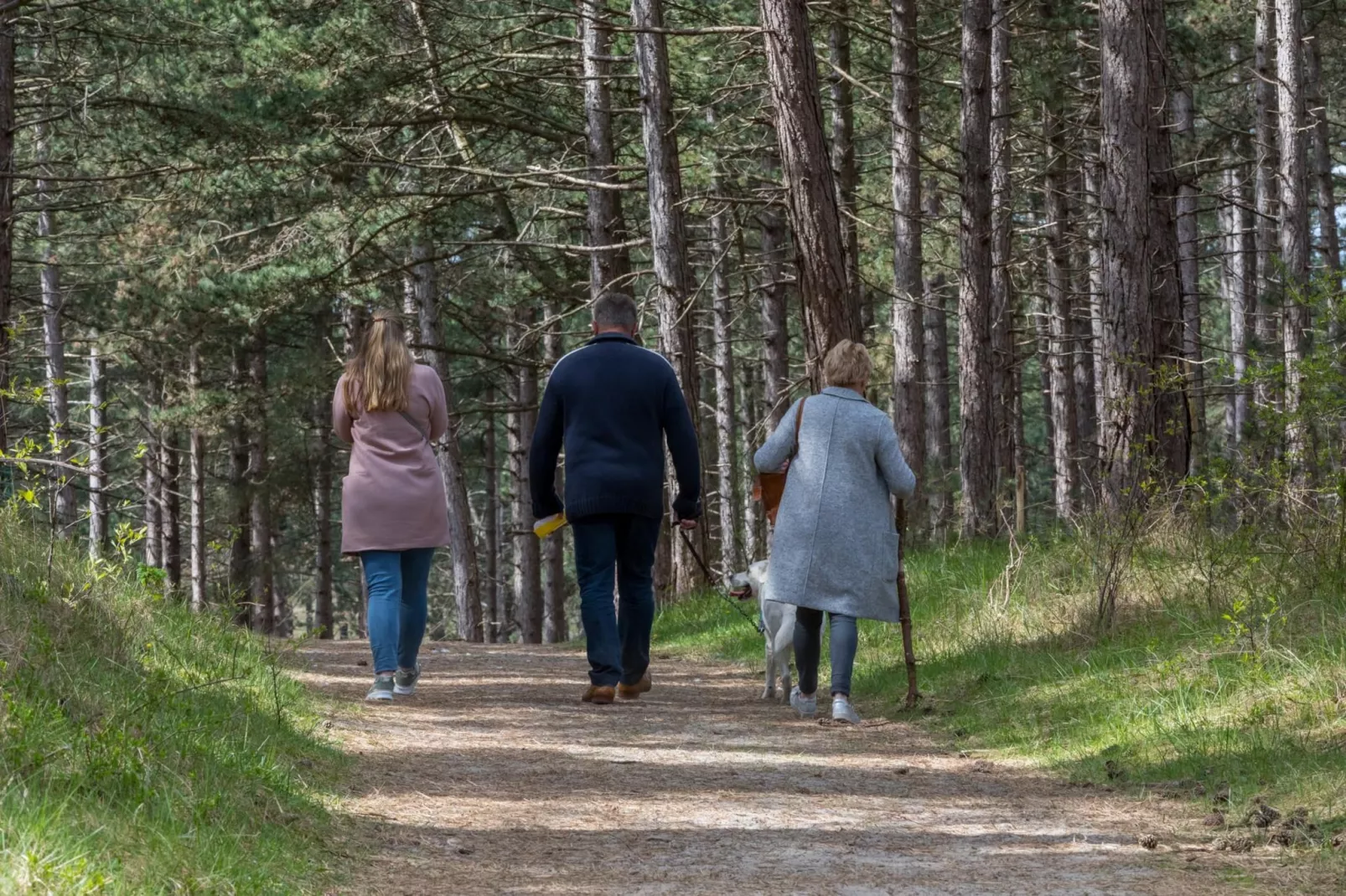 Zonnedorp 26 Renesse: Comfortable Beach Holiday on the North Sea-Niet-getagd