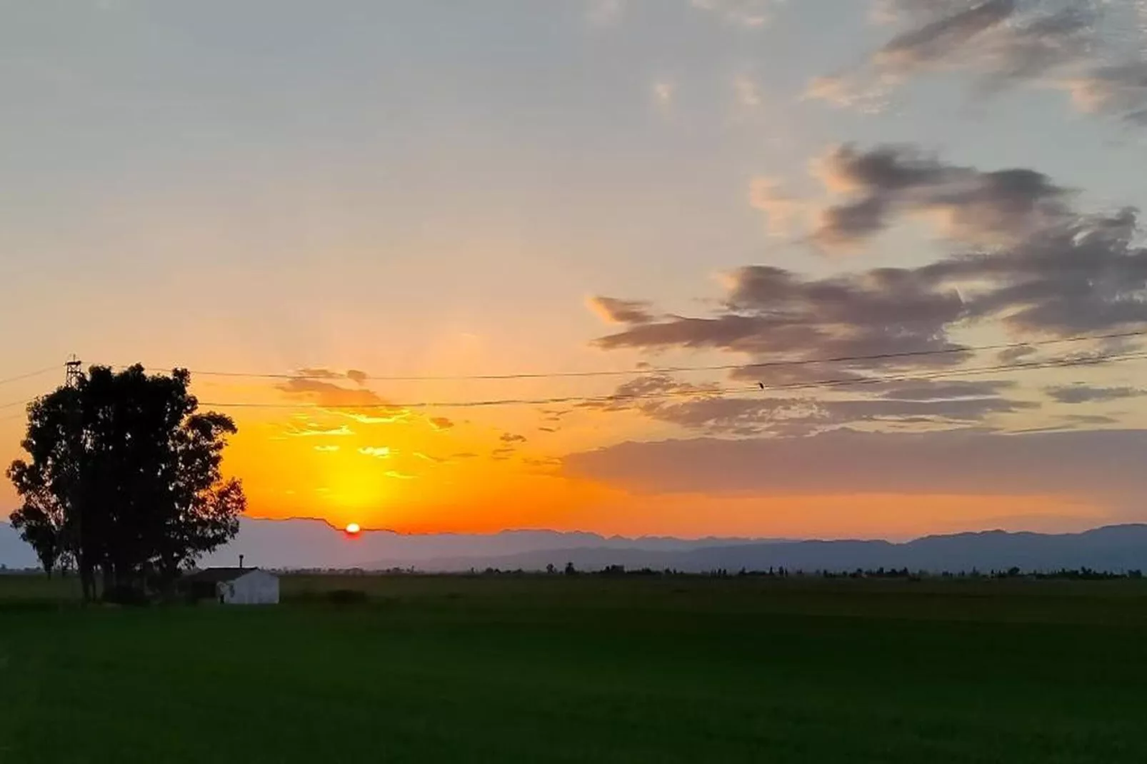 Mas Midó-Uitzicht zomer