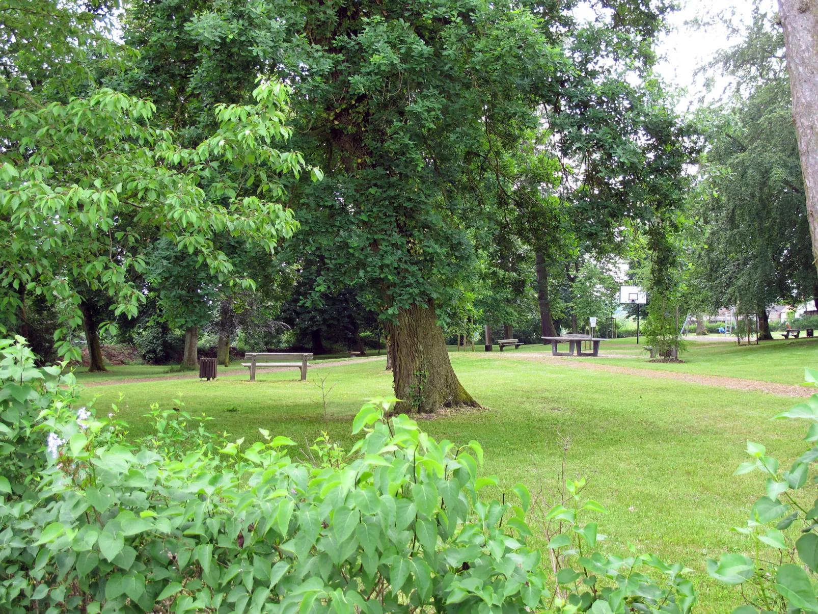 Wellnessparadies mit Sauna und Whirlpool - Omgeving