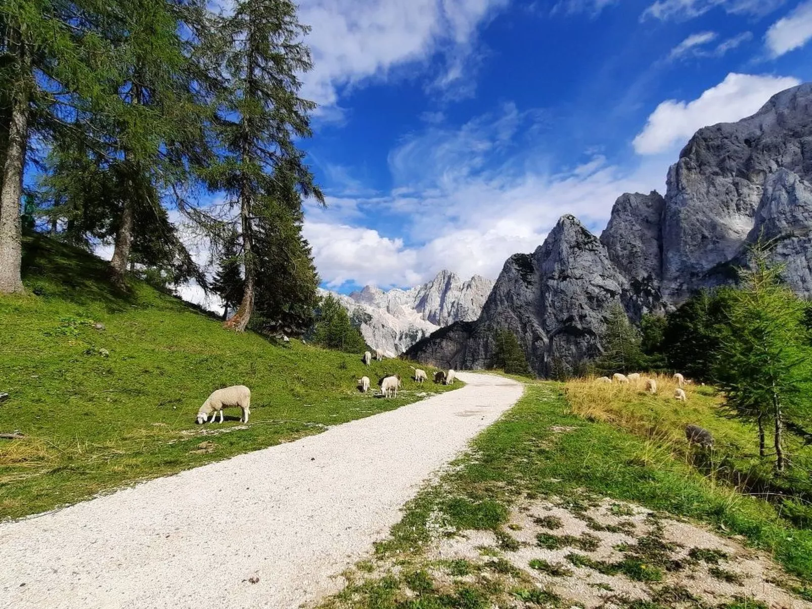 Studio-Appartement mit Balkon - Image-tags.info