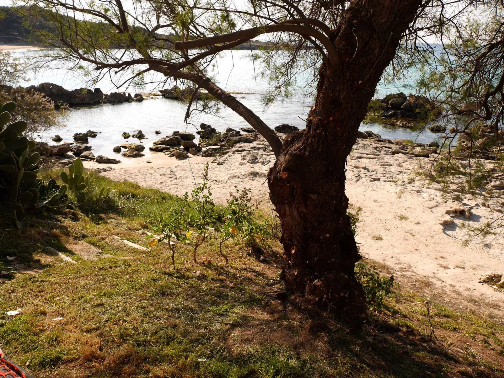 Luxuriöse Strandvilla am Strand in Apulien - Image-tags.info