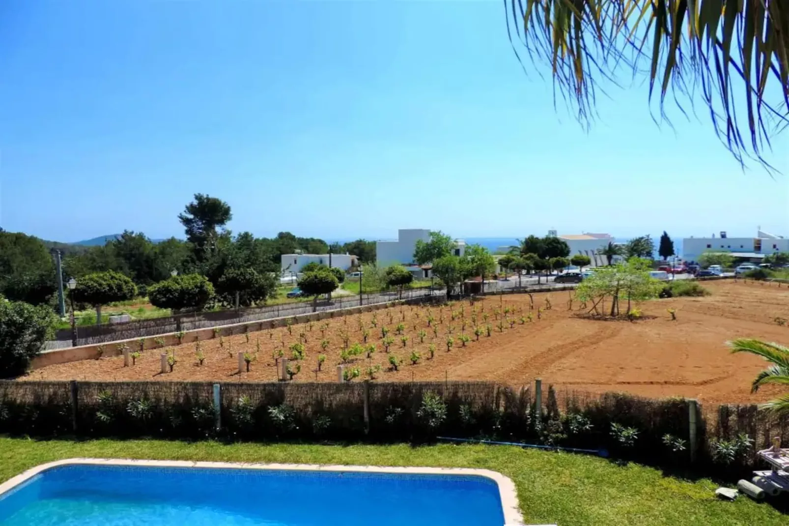 Casa Olivo - Tuinen zomer