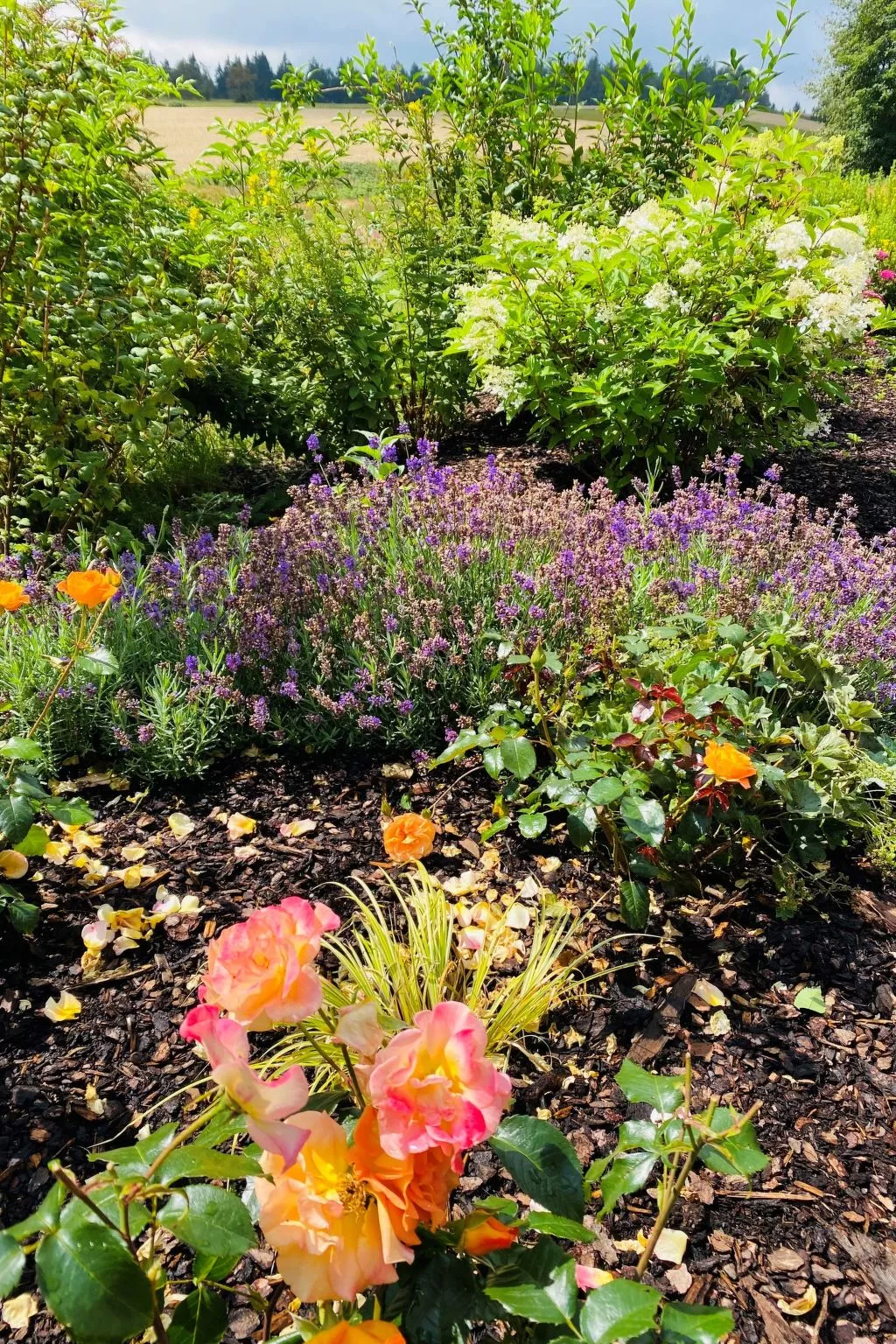 Frankenwald Lodge - Buiten