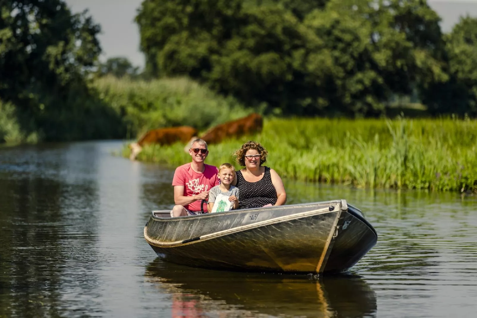 Vakantiepark Mölke 16 - Gebieden zomer 1km