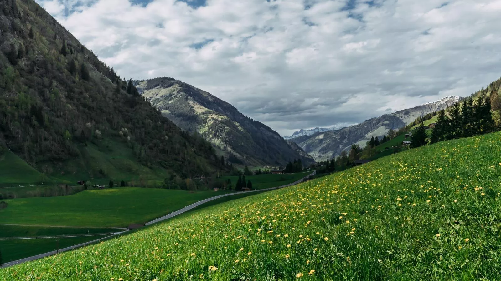 Barney M - Gebieden zomer 1km
