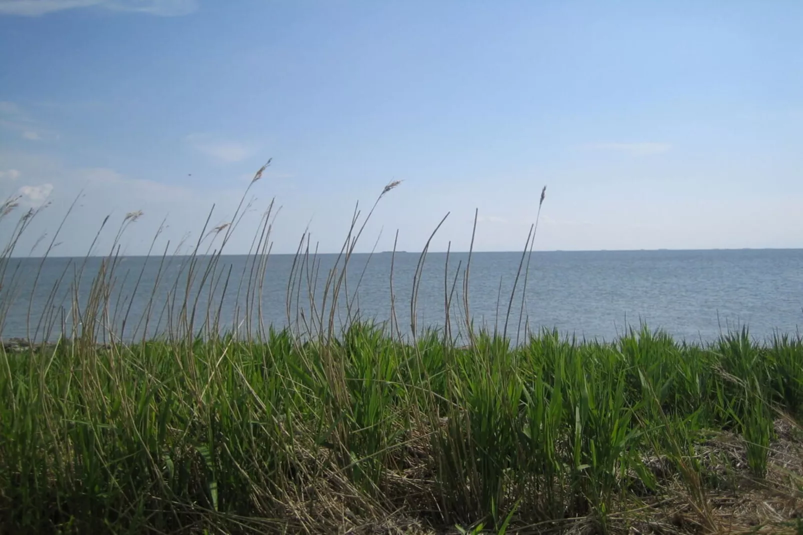 46450 - Image-tags.water view