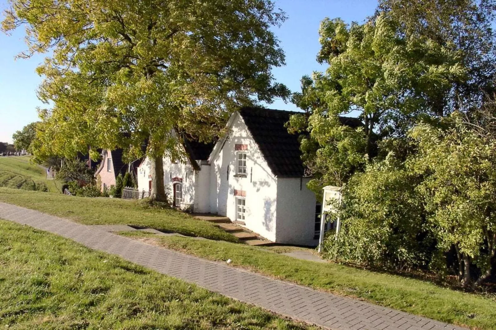 47531 - Gebieden zomer 5km