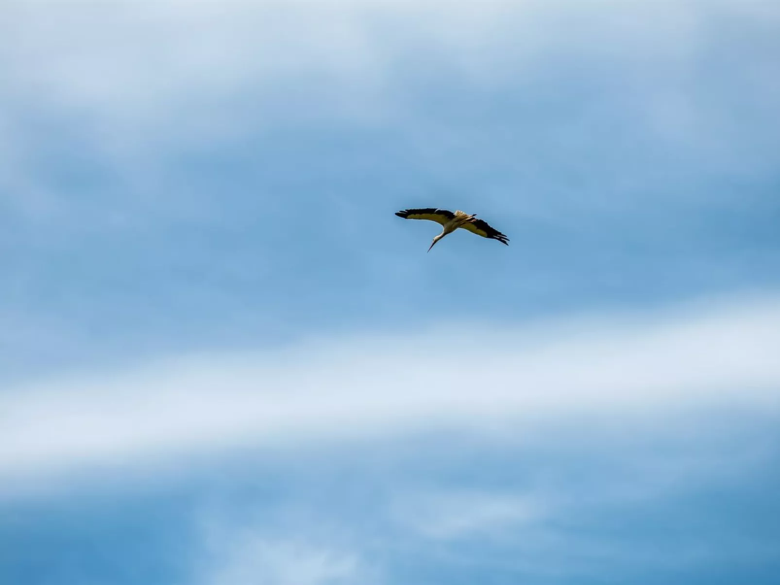 "Truels" - 30km from the sea - Binnen