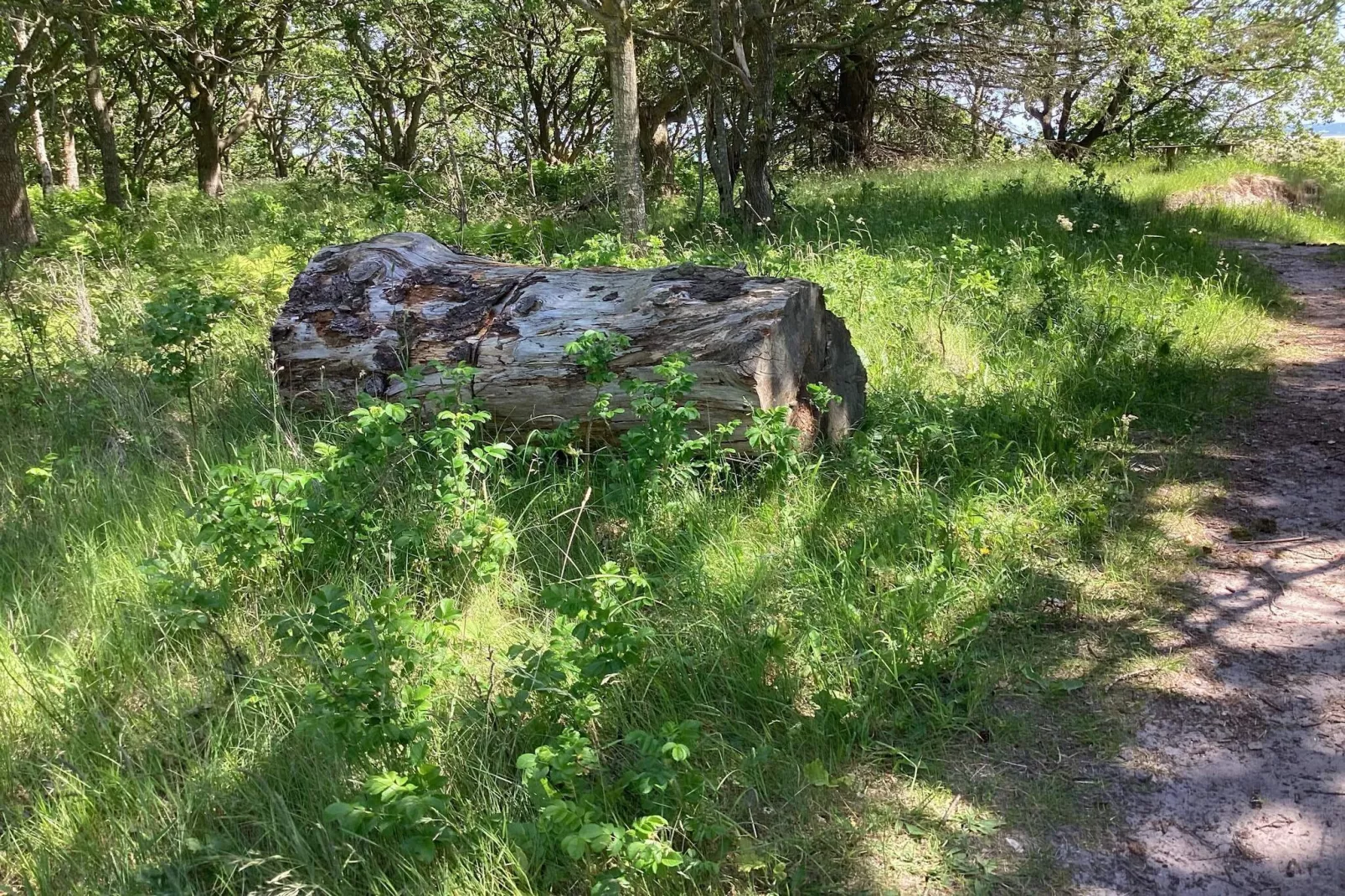 6 Personen vakantie huis in Hals-Niet-getagd