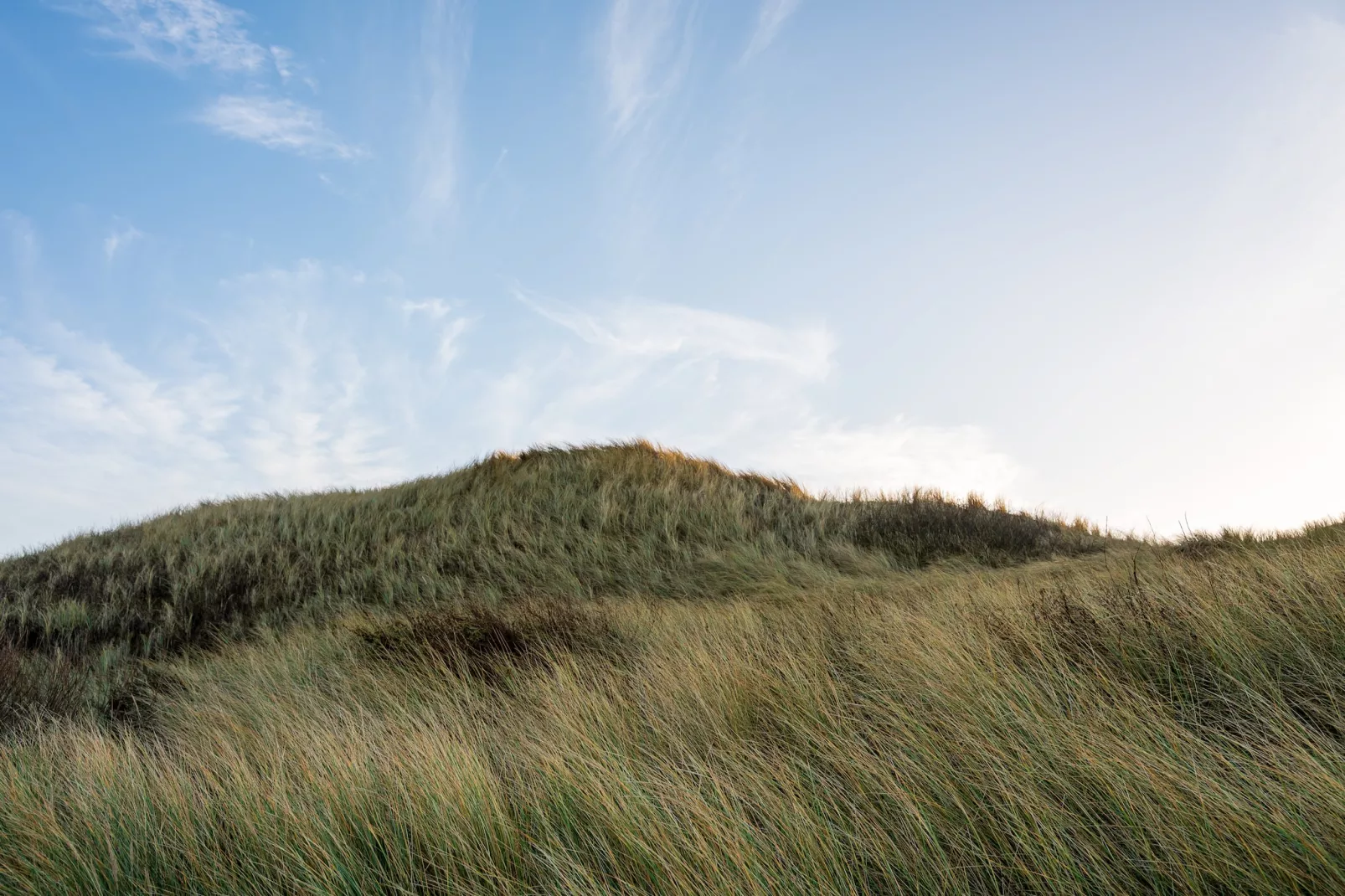 Loft Loopuyt - Sfeer