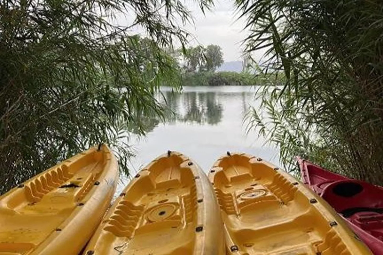 Mas Midó-Faciliteiten