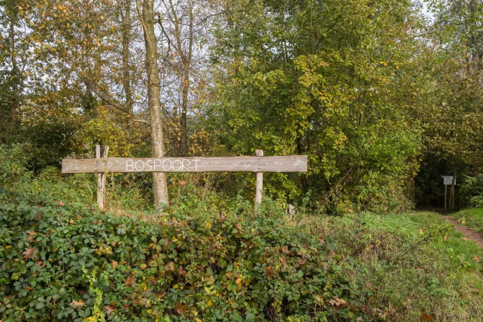 118 | Rietzanger | Sfeervol ingerichte bungalow-Gebieden zomer 5km