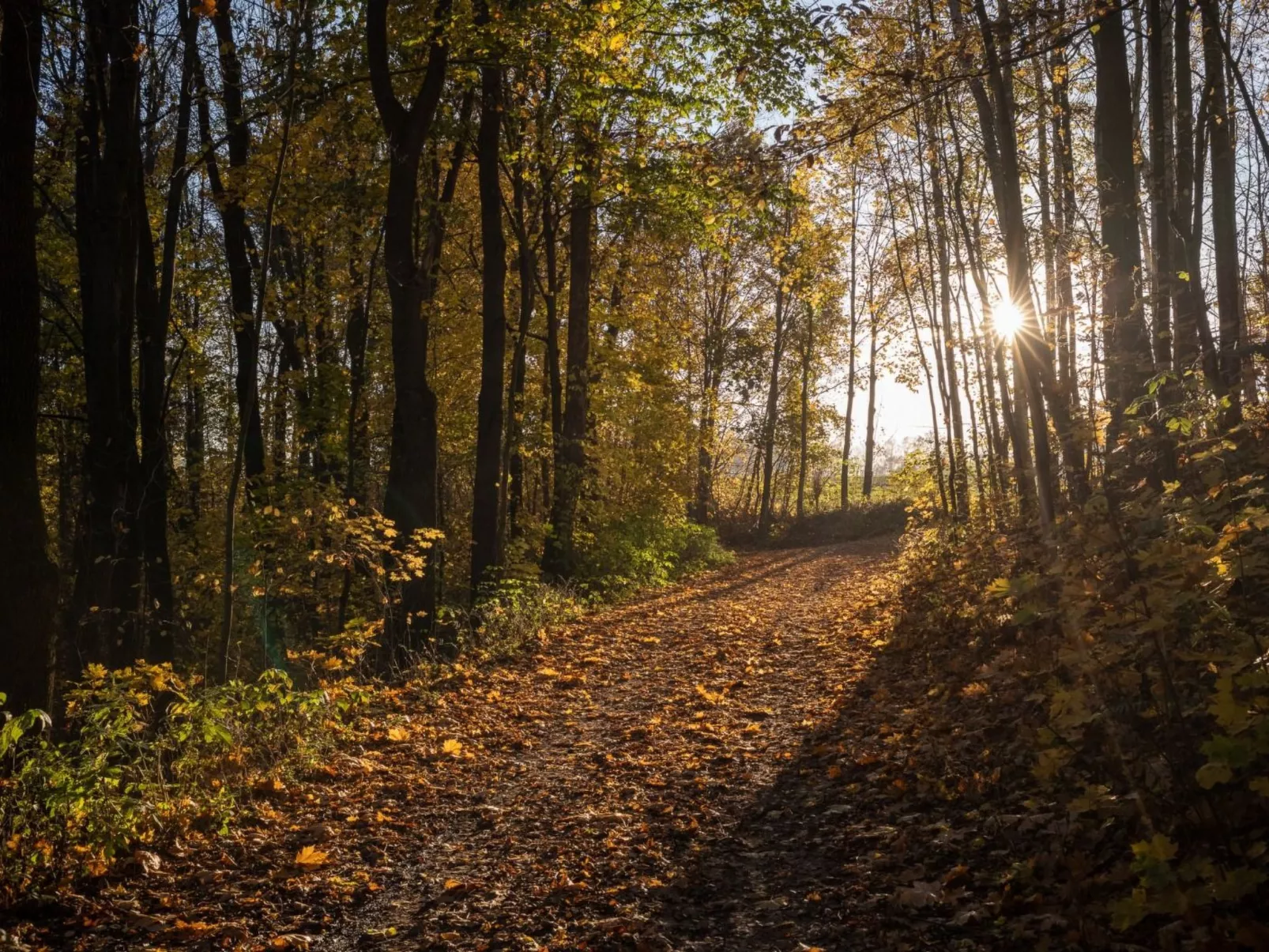 Jägerhaus - Image-tags.info