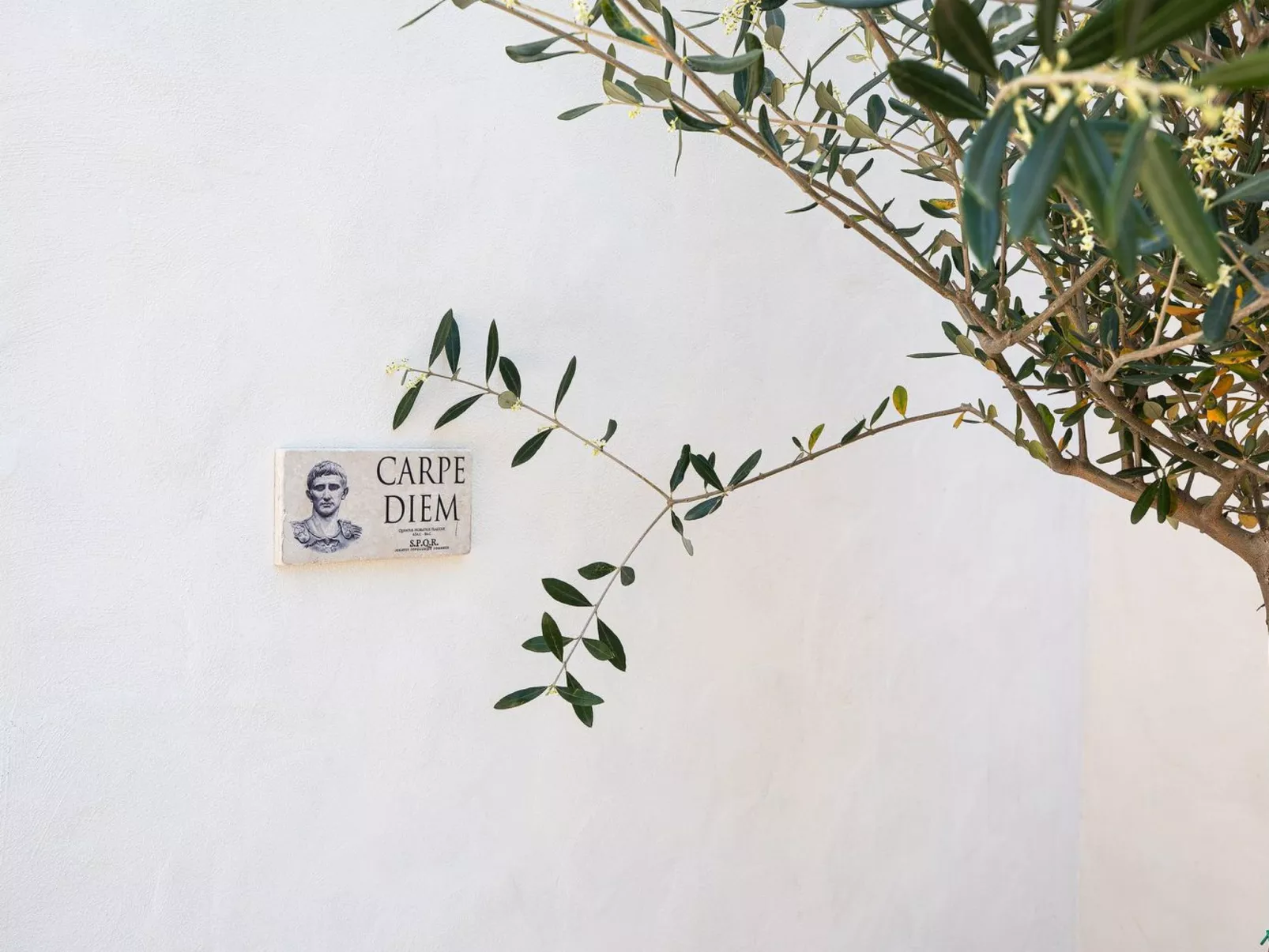 Perfektes Ferienhaus in Bale mit Privatem Pool - Image-tags.info